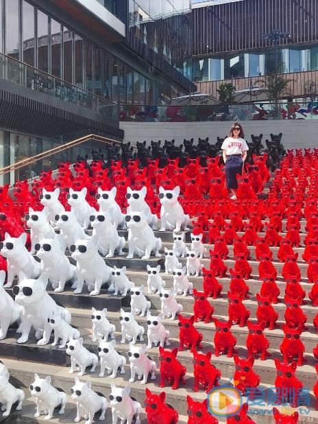吕夏生活照 吕夏高清写真_吕夏高清剧照