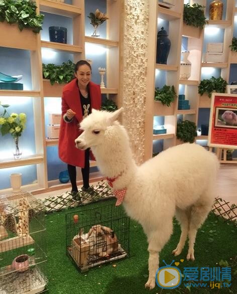 李羿瑄生活照 李羿瑄高清写真_李羿瑄高清剧照