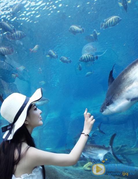 陈偌汐写真 陈偌汐高清写真_陈偌汐高清剧照