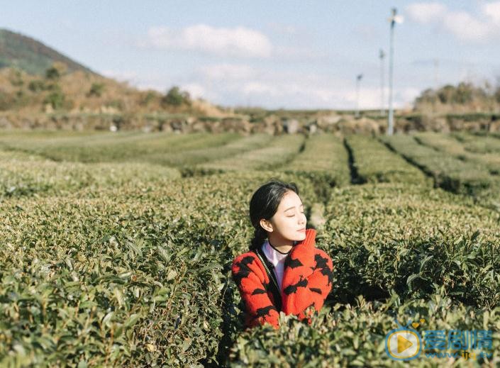 龚婉怡济州岛写真 龚婉怡高清写真_龚婉怡高清剧照