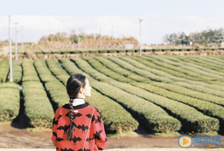 龚婉怡济州岛写真 龚婉怡高清写真_龚婉怡高清剧照