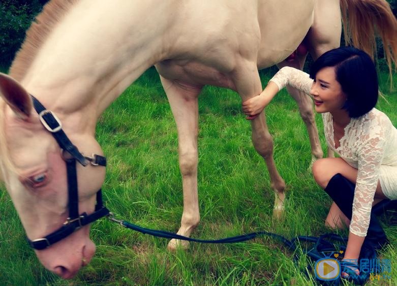 杨舒婷与马写真 杨舒婷高清写真_杨舒婷高清剧照