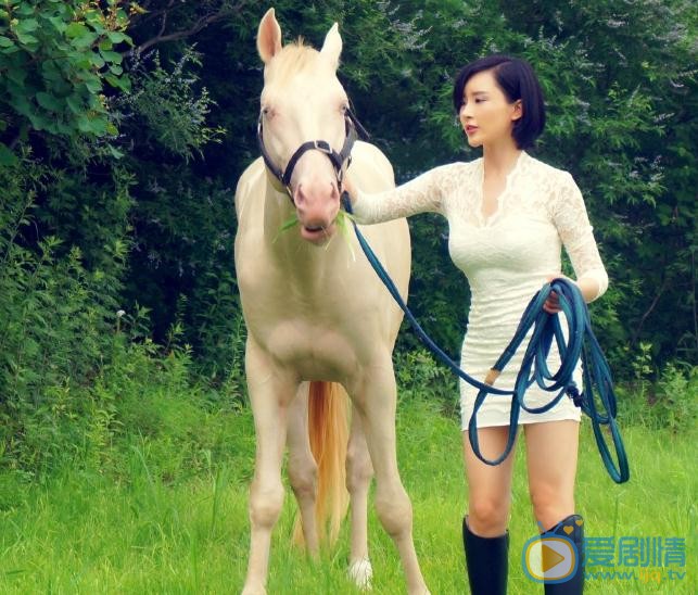 杨舒婷与马写真 杨舒婷高清写真_杨舒婷高清剧照