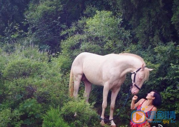 杨舒婷与马写真 杨舒婷高清写真_杨舒婷高清剧照