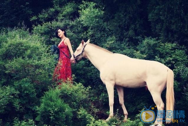 杨舒婷与马写真 杨舒婷高清写真_杨舒婷高清剧照