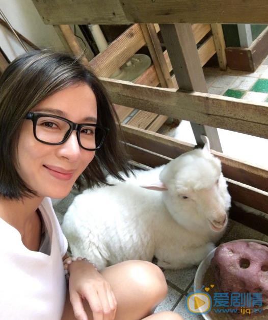 杨怡生活照 杨怡高清写真_杨怡高清剧照
