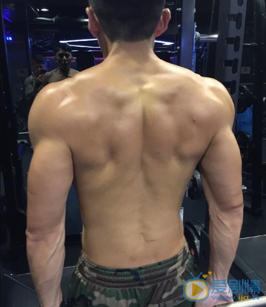 袁伟豪肌肉大片 袁伟豪高清写真_袁伟豪高清剧照