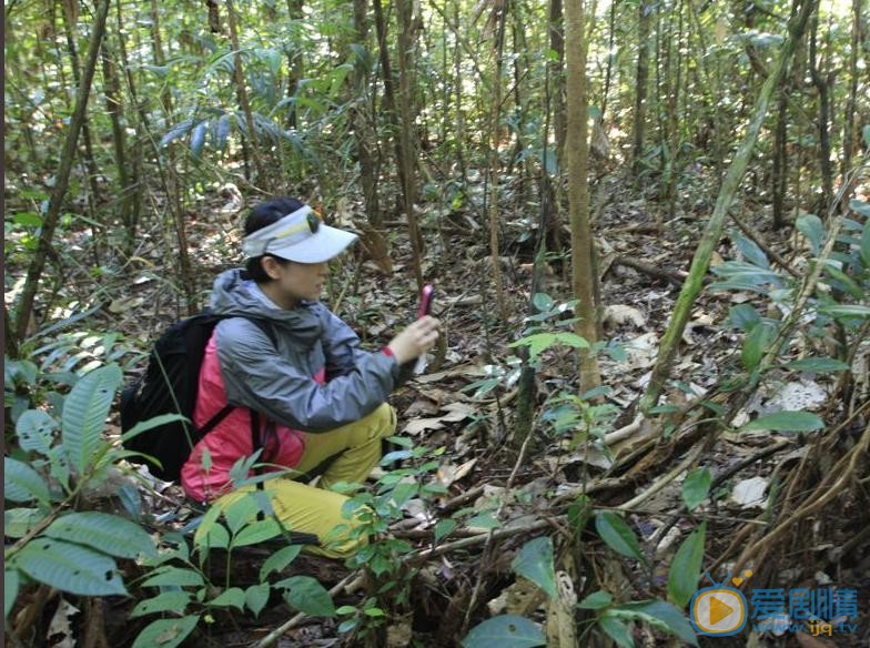 苗圃素颜生活照 苗圃高清写真_苗圃高清剧照