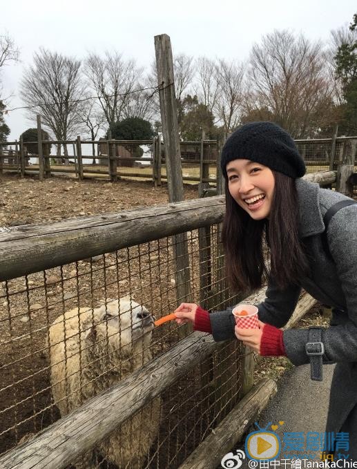 田中千绘旅行照 田中千绘高清写真_田中千绘高清剧照