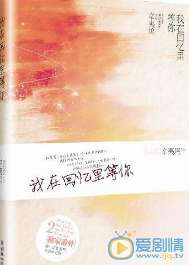 我在回忆里等你剧情介绍