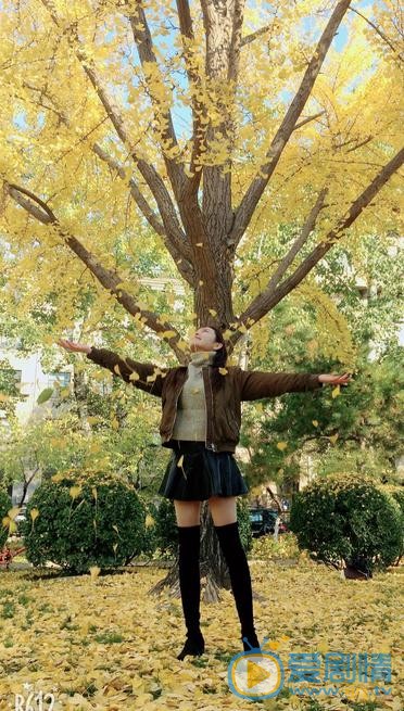 依莎生活照 依莎高清写真_依莎高清剧照