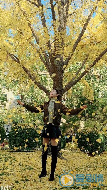 依莎生活照 依莎高清写真_依莎高清剧照