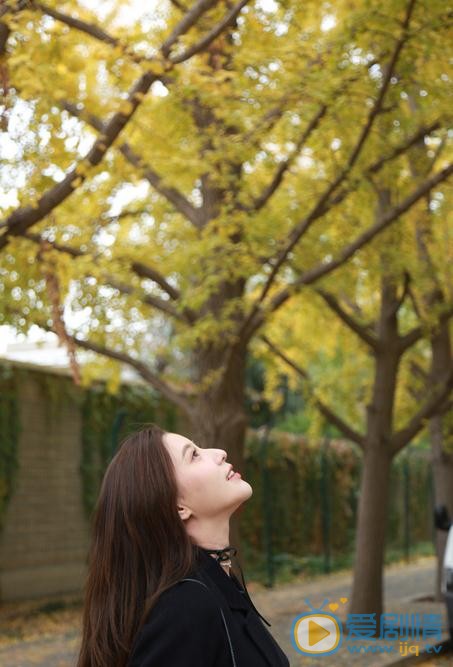 鲍天琦气质写真 鲍天琦高清写真_鲍天琦高清剧照