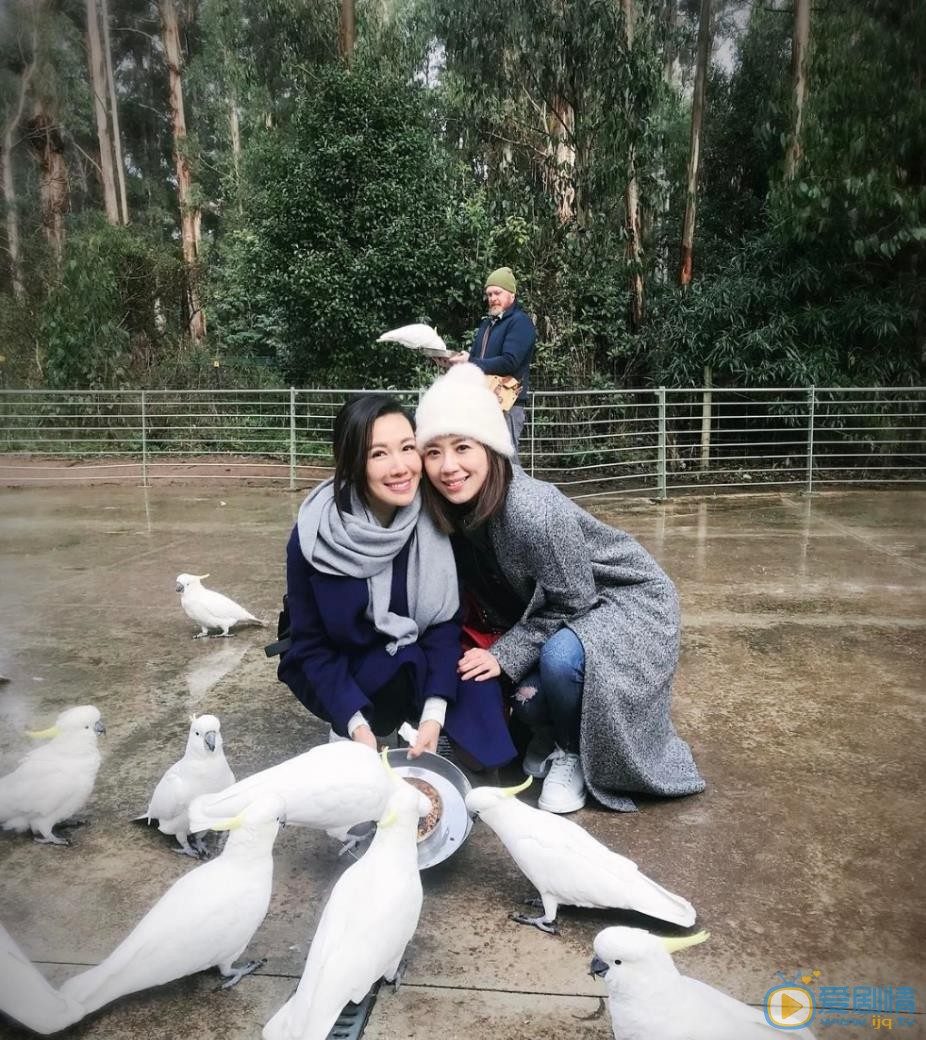李施嬅与人合照 李施嬅高清写真_李施嬅高清剧照