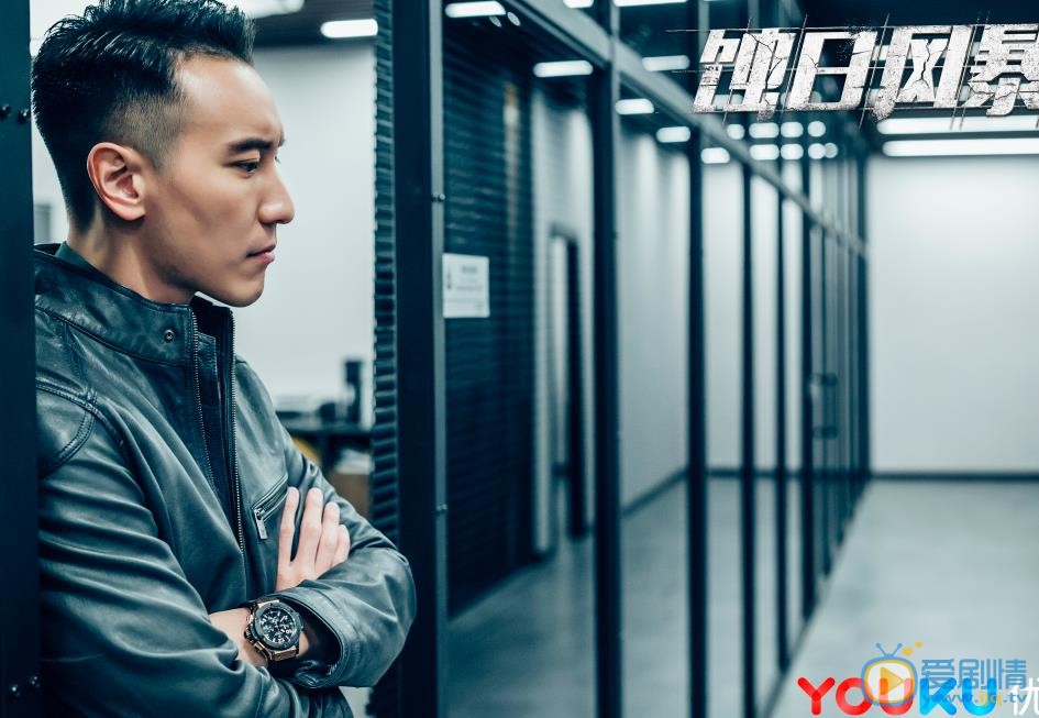 蚀日风暴剧情介绍(1-36集大结局)