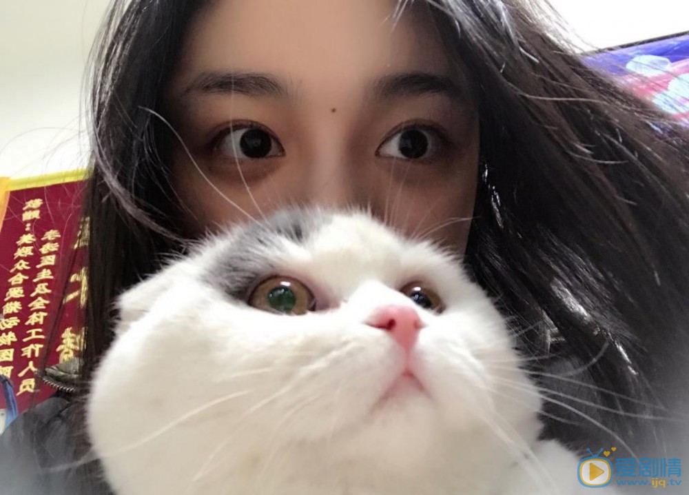 宋小莹宠物合照 宋小莹高清写真_宋小莹高清剧照