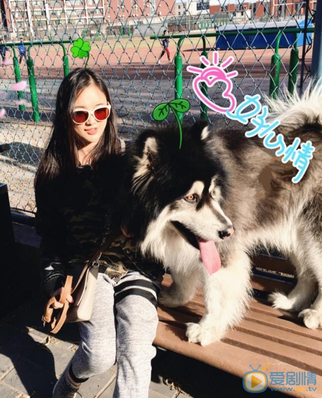 宋小莹宠物合照 宋小莹高清写真_宋小莹高清剧照