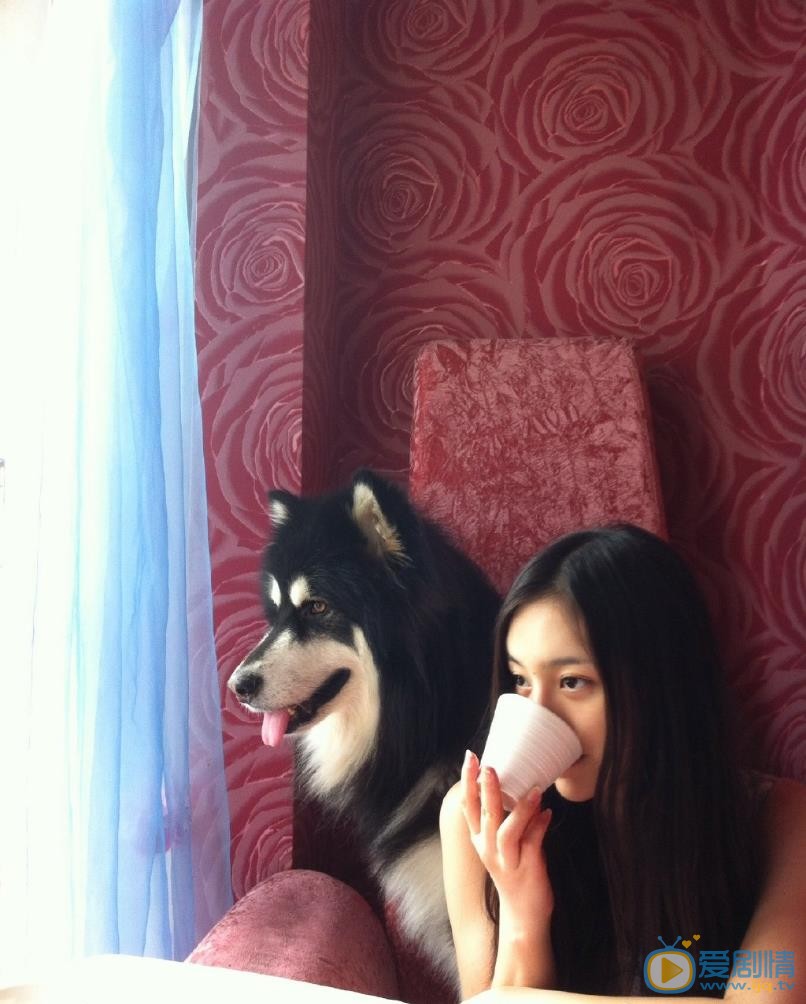 宋小莹宠物合照 宋小莹高清写真_宋小莹高清剧照