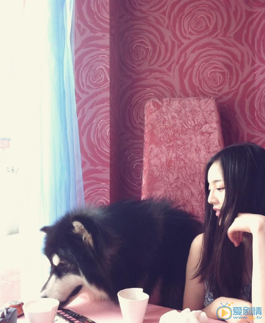宋小莹宠物合照 宋小莹高清写真_宋小莹高清剧照