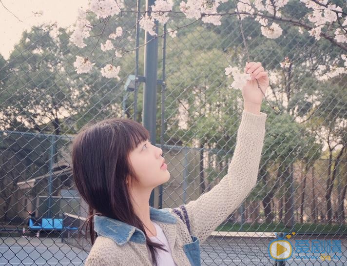 林昕宜花儿写真 林昕宜高清写真_林昕宜高清剧照