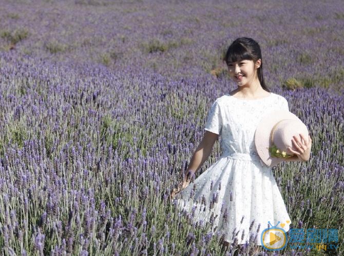 林昕宜花儿写真 林昕宜高清写真_林昕宜高清剧照