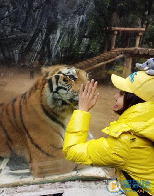 洪辰游玩照 洪辰高清写真_洪辰高清剧照