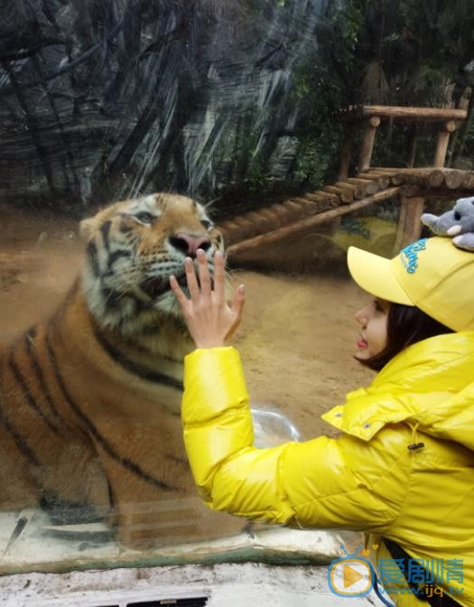 洪辰游玩照 洪辰高清写真_洪辰高清剧照