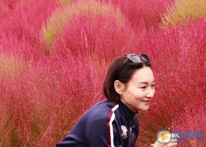 惠英红生活照 惠英红高清写真_惠英红高清剧照