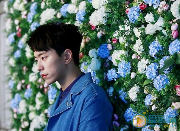 尹贤敏花儿写真 尹贤敏高清写真_尹贤敏高清剧照