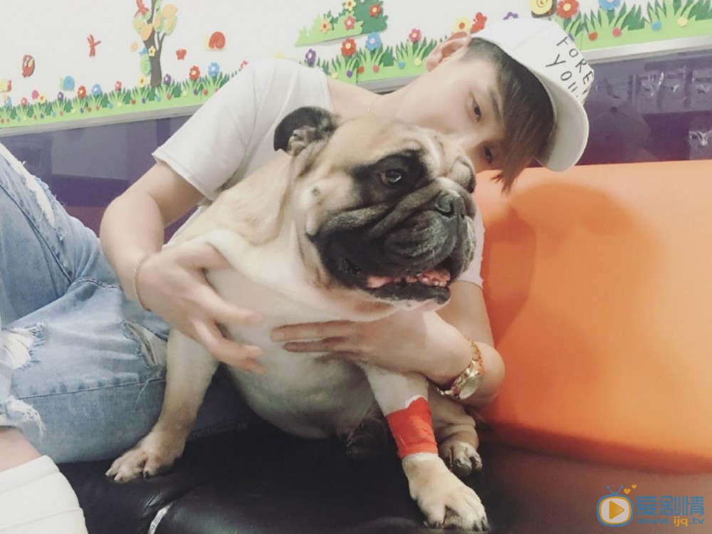 赵泳鑫和斗牛犬照 赵泳鑫高清写真_赵泳鑫高清剧照