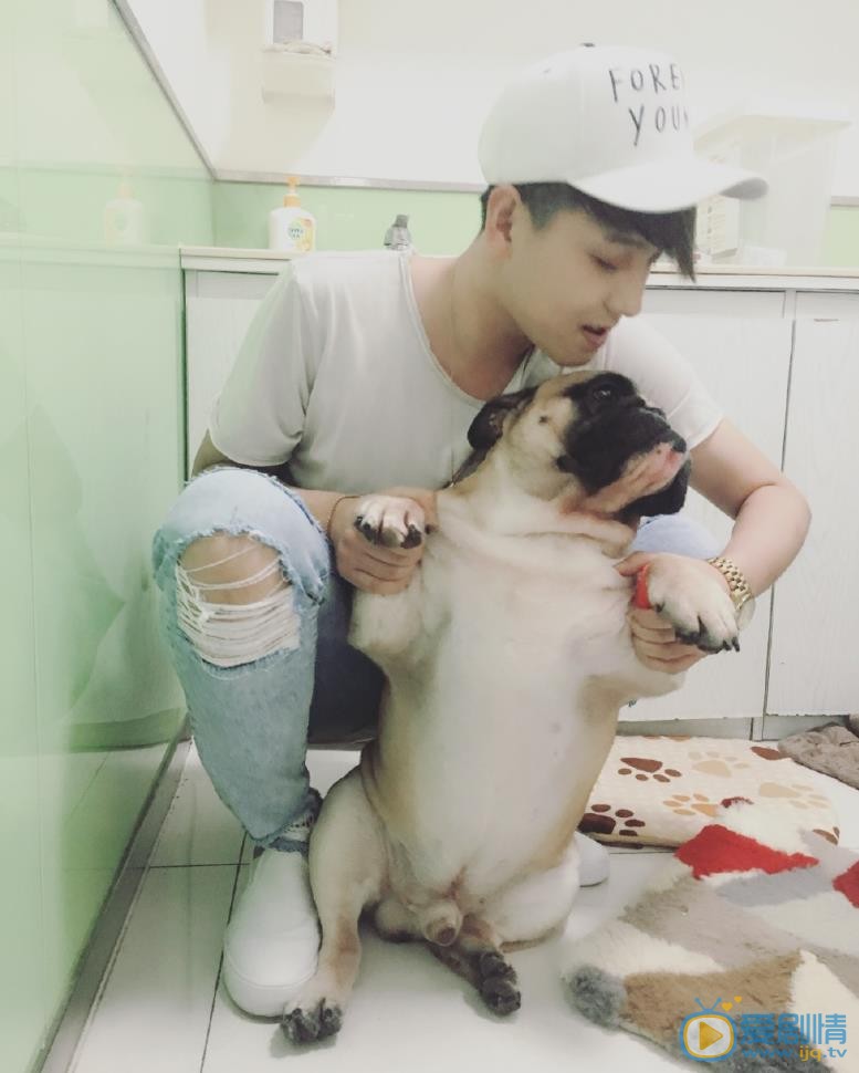 赵泳鑫和斗牛犬照 赵泳鑫高清写真_赵泳鑫高清剧照