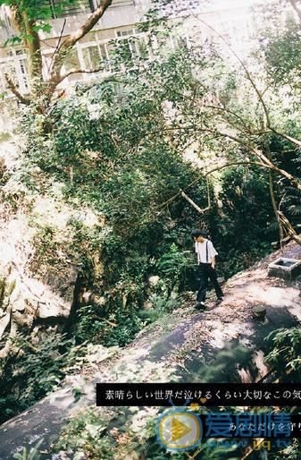 陈鹤一复古写真 陈鹤一高清写真_陈鹤一高清剧照