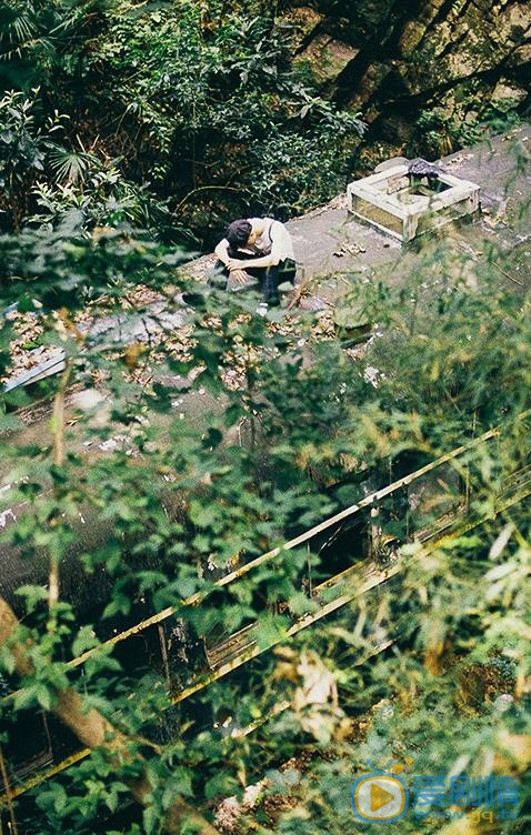 陈鹤一复古写真 陈鹤一高清写真_陈鹤一高清剧照