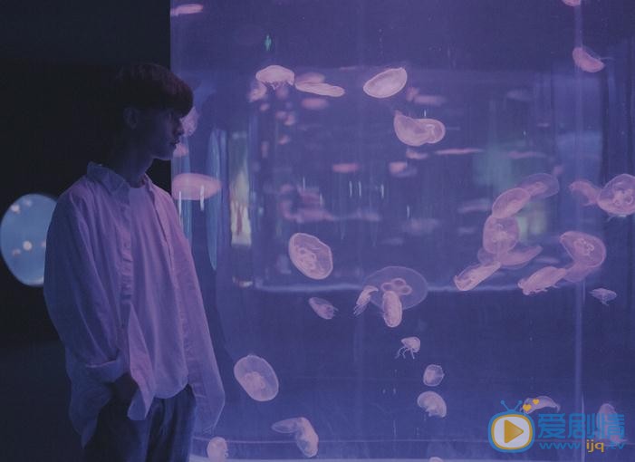 陈鹤一海底世界写真 陈鹤一高清写真_陈鹤一高清剧照