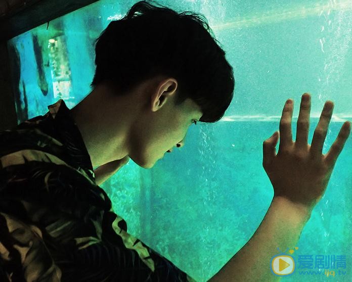 陈鹤一可爱写真 陈鹤一高清写真_陈鹤一高清剧照