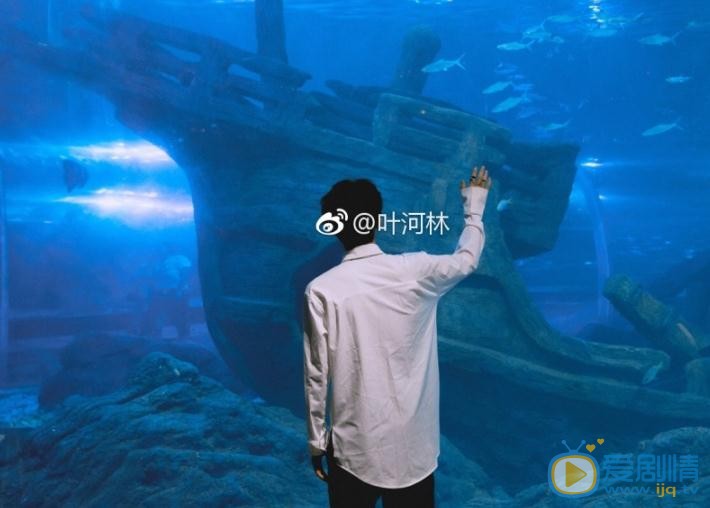 叶河林海底世界写真 叶河林高清写真_叶河林高清剧照