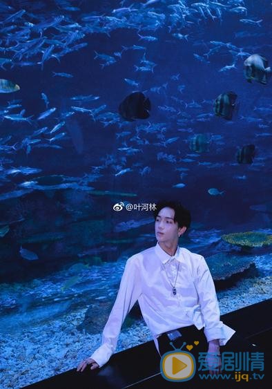 叶河林海底世界写真 叶河林高清写真_叶河林高清剧照