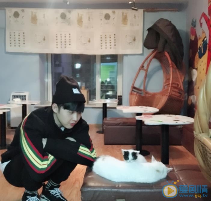 张洢豪生活照 张洢豪高清写真_张洢豪高清剧照