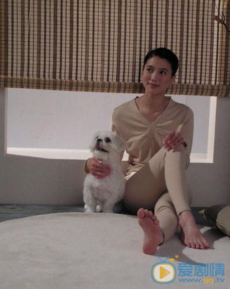 袁咏仪早期写真 袁咏仪高清写真_袁咏仪高清剧照