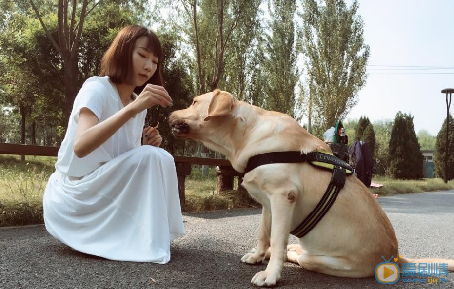 张绮烟游客照 张绮烟高清写真_张绮烟高清剧照