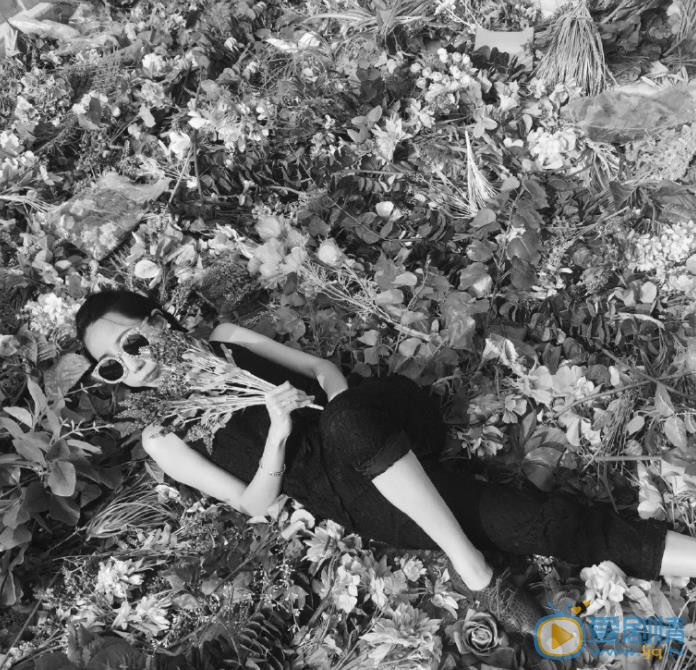 张绮烟时尚写真 张绮烟高清写真_张绮烟高清剧照