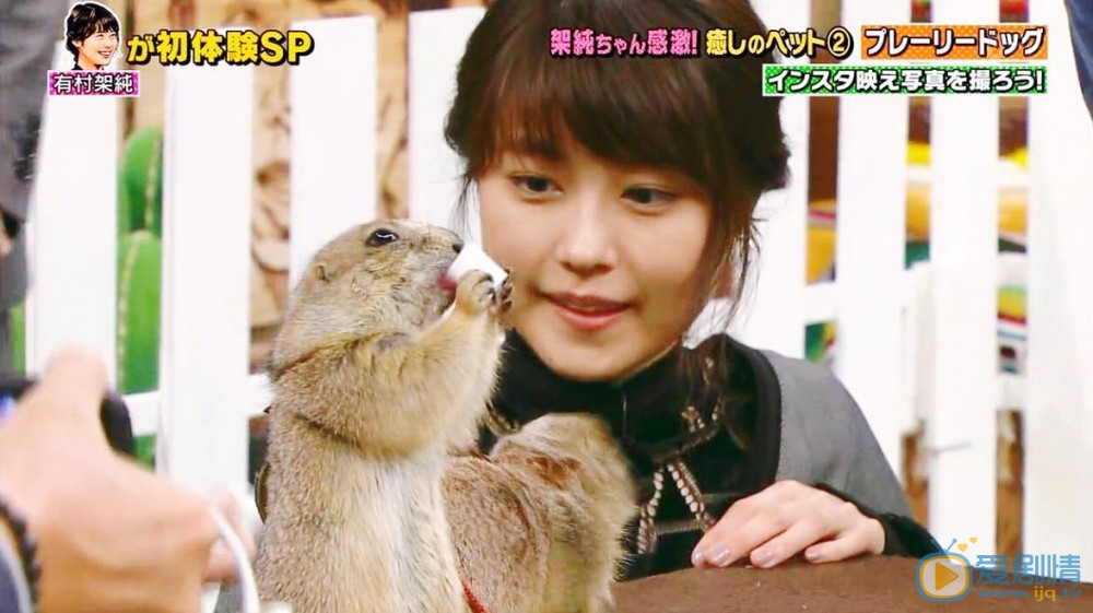 有村架纯综艺节目合集 有村架纯高清写真_有村架纯高清剧照