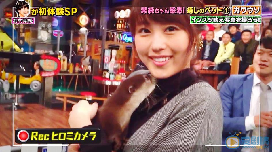 有村架纯综艺节目合集 有村架纯高清写真_有村架纯高清剧照