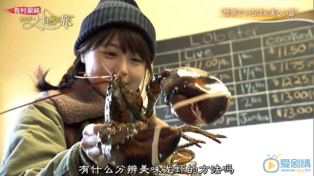 有村架纯自然之旅综艺照 有村架纯高清写真_有村架纯高清剧照