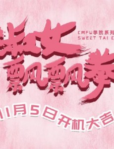 淑女飘飘拳