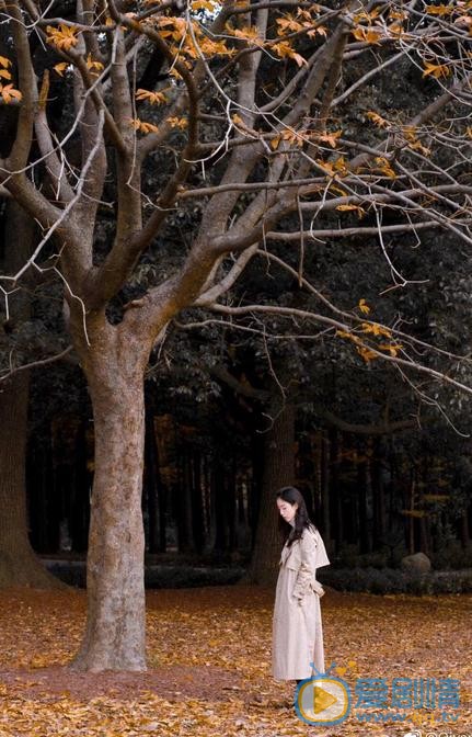潘启言秋色写真 潘启言高清写真_潘启言高清剧照