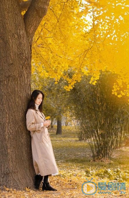 潘启言秋色写真 潘启言高清写真_潘启言高清剧照