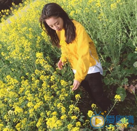 叶炫清唯美写真 叶炫清高清写真_叶炫清高清剧照