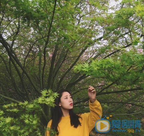 叶炫清生活写真 叶炫清高清写真_叶炫清高清剧照
