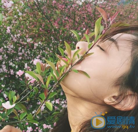 叶炫清唯美写真 叶炫清高清写真_叶炫清高清剧照